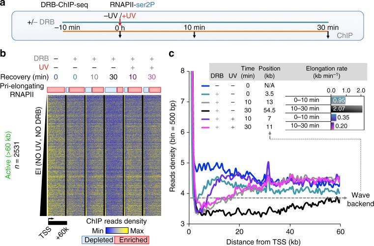 https://cdn.ncbi.nlm.nih.gov/pmc/blobs/b064/5727188/8c404c662f49/41467_2017_2145_Fig2_HTML.jpg