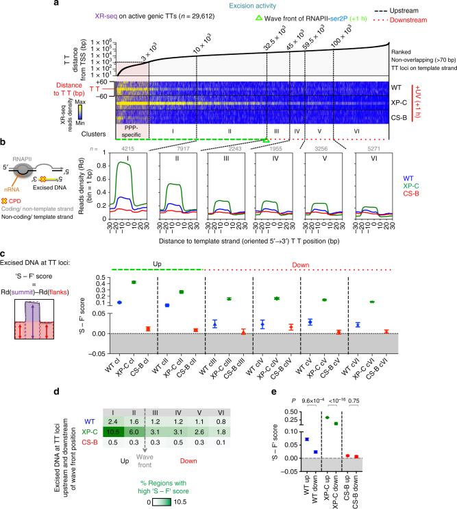 https://cdn.ncbi.nlm.nih.gov/pmc/blobs/b064/5727188/d39826603d6d/41467_2017_2145_Fig5_HTML.jpg