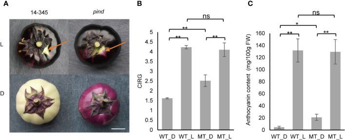 https://cdn.ncbi.nlm.nih.gov/pmc/blobs/b065/10758619/0c37c722eed0/fpls-14-1282661-g001.jpg