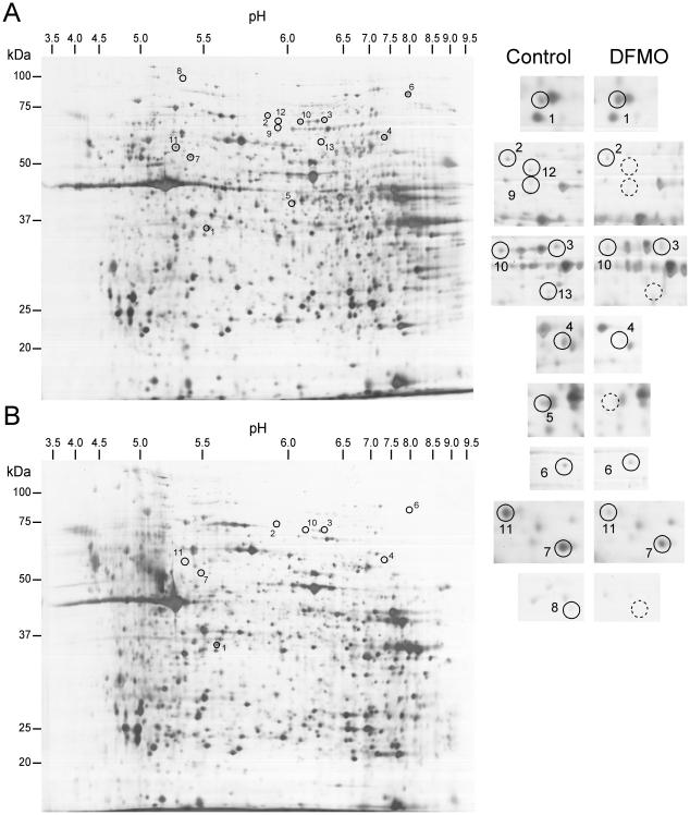 https://cdn.ncbi.nlm.nih.gov/pmc/blobs/b068/2994821/22340b8786bf/pone.0015071.g006.jpg