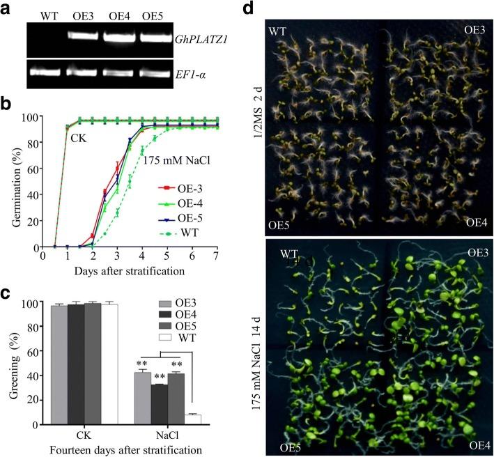 https://cdn.ncbi.nlm.nih.gov/pmc/blobs/b06b/6172764/bfffaeffe2b2/12870_2018_1416_Fig2_HTML.jpg