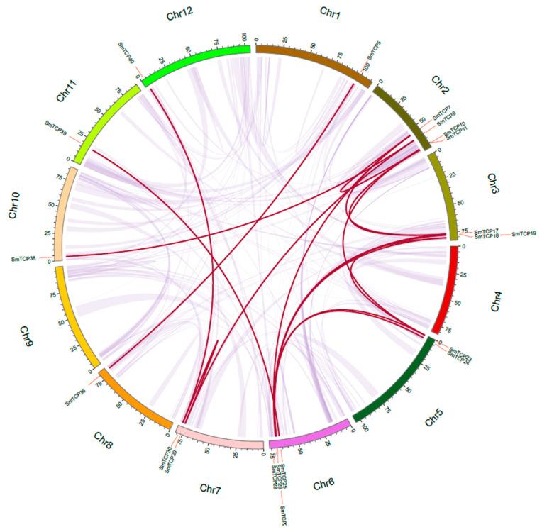 https://cdn.ncbi.nlm.nih.gov/pmc/blobs/b06d/10093338/ecd24d170ac7/cells-12-01015-g004.jpg
