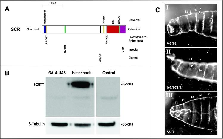 https://cdn.ncbi.nlm.nih.gov/pmc/blobs/b06d/6957346/3e59c7efc5b0/pone.0227642.g001.jpg