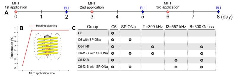 https://cdn.ncbi.nlm.nih.gov/pmc/blobs/b06d/7038138/0fedf5b5337f/ijms-21-00958-g009.jpg