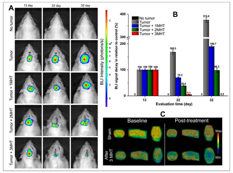 https://cdn.ncbi.nlm.nih.gov/pmc/blobs/b06d/7038138/f8ebba9e932b/ijms-21-00958-g007.jpg