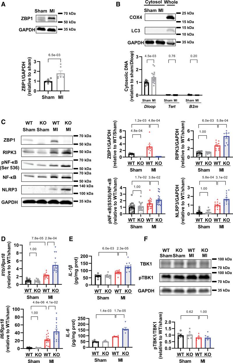https://cdn.ncbi.nlm.nih.gov/pmc/blobs/b070/10144299/1115fb51dd7d/res-132-1110-g006.jpg