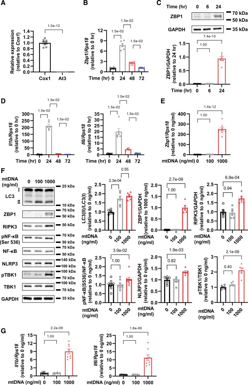 https://cdn.ncbi.nlm.nih.gov/pmc/blobs/b070/10144299/143322fc5d9b/res-132-1110-g001.jpg
