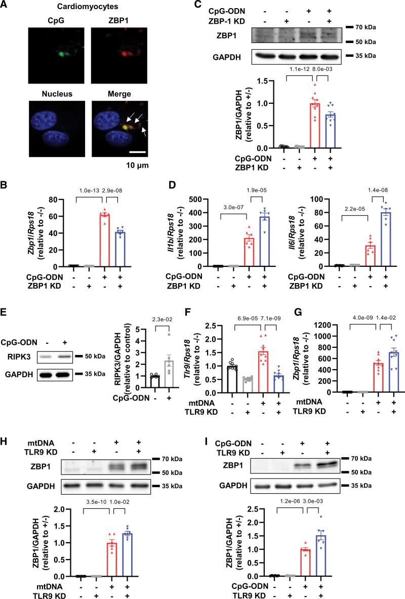 https://cdn.ncbi.nlm.nih.gov/pmc/blobs/b070/10144299/2e70908d9332/res-132-1110-g005.jpg