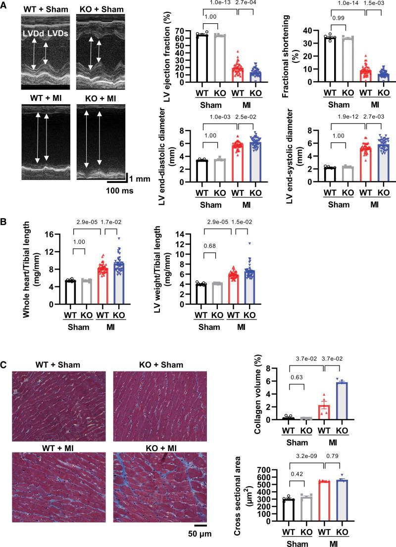 https://cdn.ncbi.nlm.nih.gov/pmc/blobs/b070/10144299/f390b581025f/res-132-1110-g007.jpg