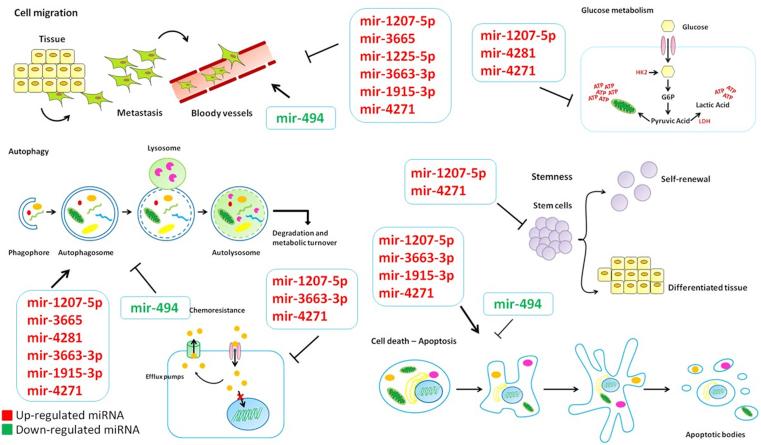https://cdn.ncbi.nlm.nih.gov/pmc/blobs/b073/7340874/28fad85069ff/gr5.jpg