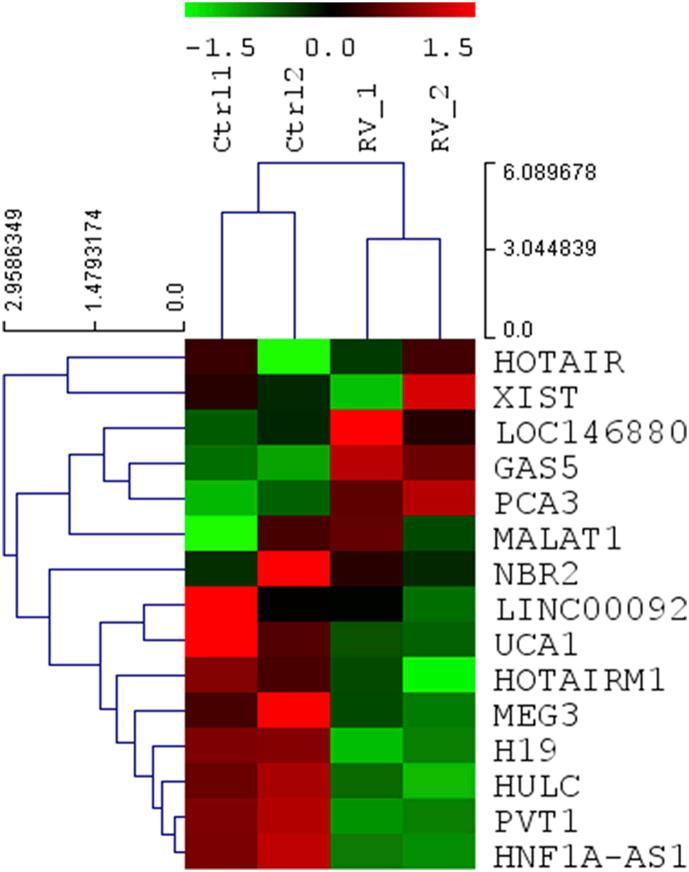 https://cdn.ncbi.nlm.nih.gov/pmc/blobs/b073/7340874/434b53efa535/gr3.jpg