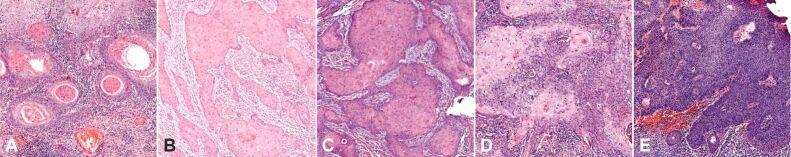 https://cdn.ncbi.nlm.nih.gov/pmc/blobs/b074/11384044/99548b7958db/RJME-65-2-243-fig2.jpg