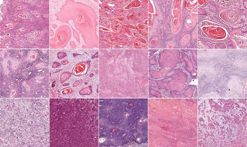 https://cdn.ncbi.nlm.nih.gov/pmc/blobs/b074/11384044/a2b9343d094f/RJME-65-2-243-fig1.jpg
