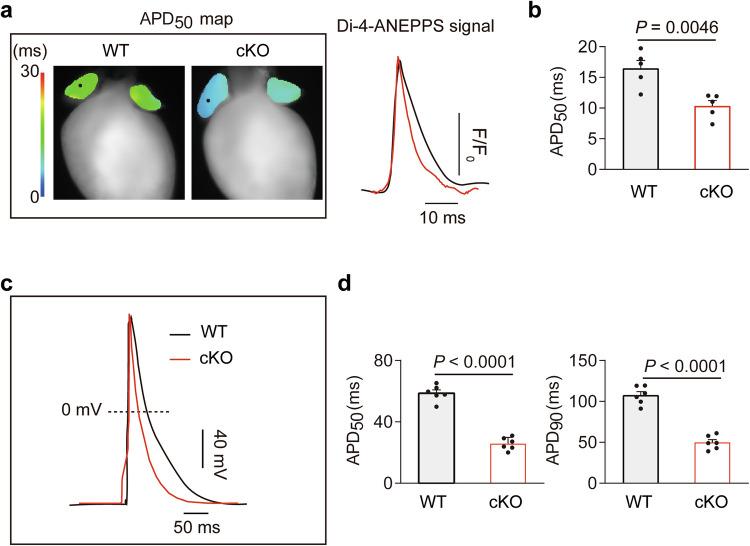 https://cdn.ncbi.nlm.nih.gov/pmc/blobs/b075/12009440/b1f692c8bbad/41467_2025_59096_Fig3_HTML.jpg