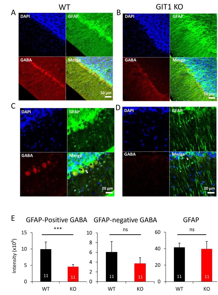 https://cdn.ncbi.nlm.nih.gov/pmc/blobs/b075/5597551/ab15126bd7cb/en-26-206-g002.jpg