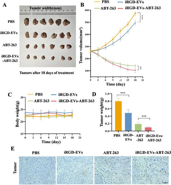 https://cdn.ncbi.nlm.nih.gov/pmc/blobs/b076/12281467/47d9a4c58e84/JEV2-14-e70123-g008.jpg