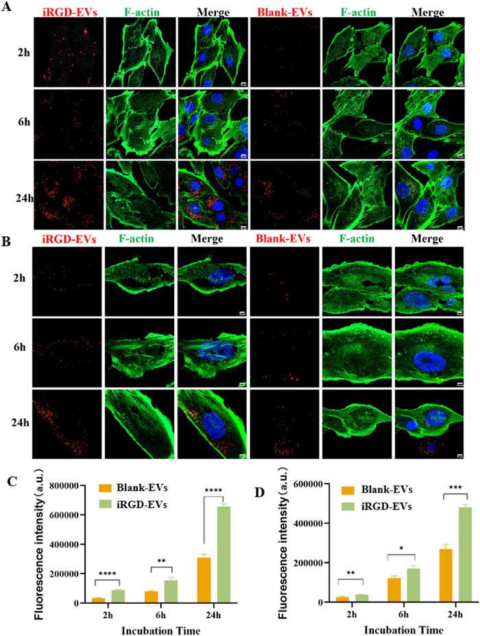 https://cdn.ncbi.nlm.nih.gov/pmc/blobs/b076/12281467/6bc10f93098f/JEV2-14-e70123-g007.jpg