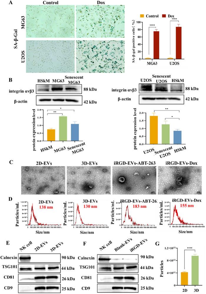 https://cdn.ncbi.nlm.nih.gov/pmc/blobs/b076/12281467/c3ff0a36c43b/JEV2-14-e70123-g002.jpg