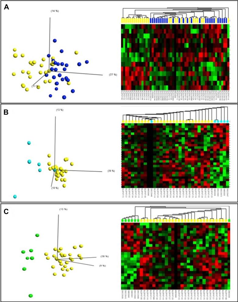 https://cdn.ncbi.nlm.nih.gov/pmc/blobs/b077/5455071/962eead61ee8/gr1.jpg