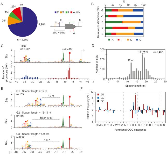 https://cdn.ncbi.nlm.nih.gov/pmc/blobs/b07a/6614810/6ee605c9d15c/gkz471fig2.jpg