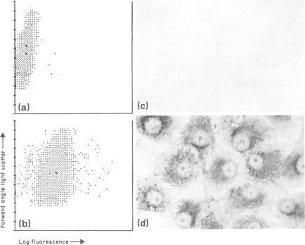https://cdn.ncbi.nlm.nih.gov/pmc/blobs/b07b/1384256/24ff270b58e7/immunology00131-0088-a.jpg