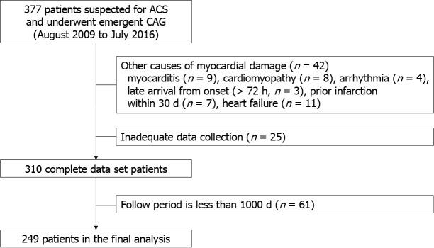 https://cdn.ncbi.nlm.nih.gov/pmc/blobs/b07e/11235205/fc056543d4fe/WJC-16-329-g001.jpg