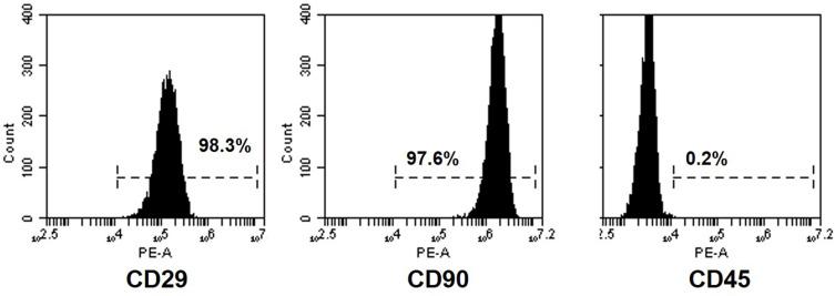 https://cdn.ncbi.nlm.nih.gov/pmc/blobs/b07f/8255652/1f80b9597fde/CCID-14-753-g0001.jpg