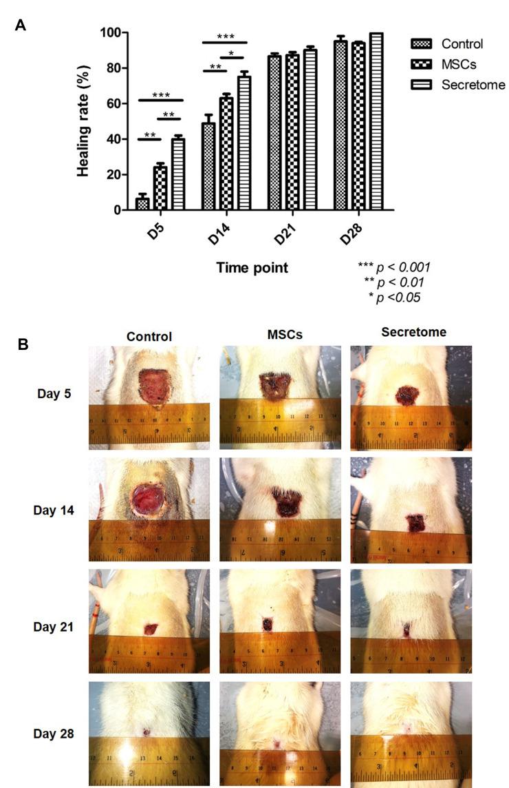 https://cdn.ncbi.nlm.nih.gov/pmc/blobs/b07f/8255652/3cfae9d871da/CCID-14-753-g0002.jpg