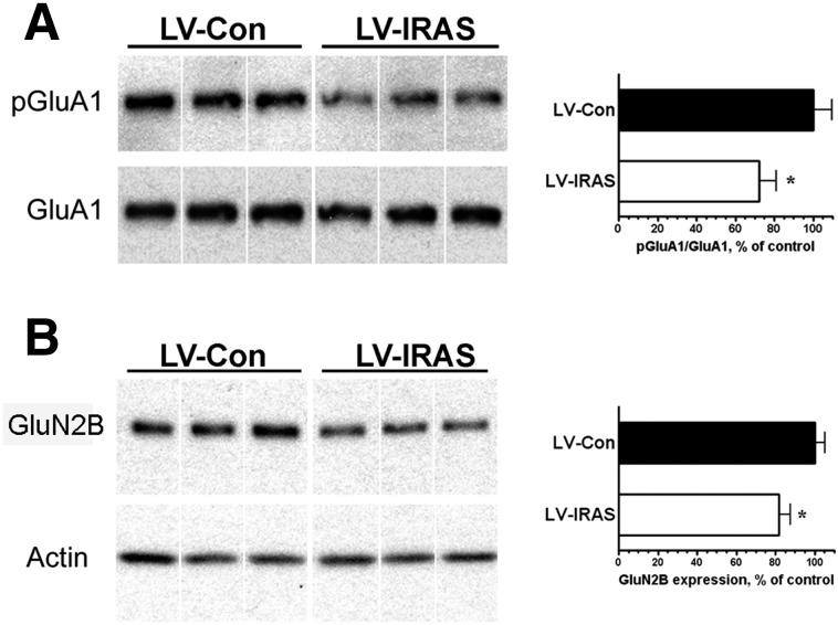 https://cdn.ncbi.nlm.nih.gov/pmc/blobs/b080/4613975/6f74cff3bdae/db150596f6.jpg