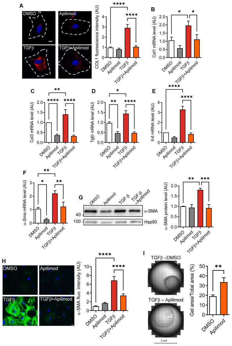 https://cdn.ncbi.nlm.nih.gov/pmc/blobs/b080/8120213/e72e78a19979/thnov11p6491g003.jpg