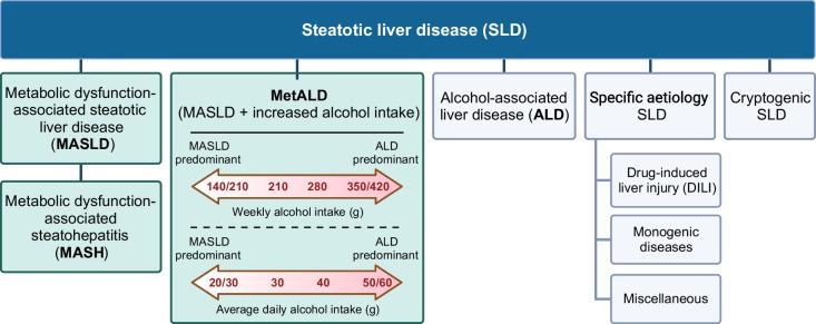 https://cdn.ncbi.nlm.nih.gov/pmc/blobs/b081/11058902/b7bd651d9fb4/125_2024_6087_Fig3_HTML.jpg
