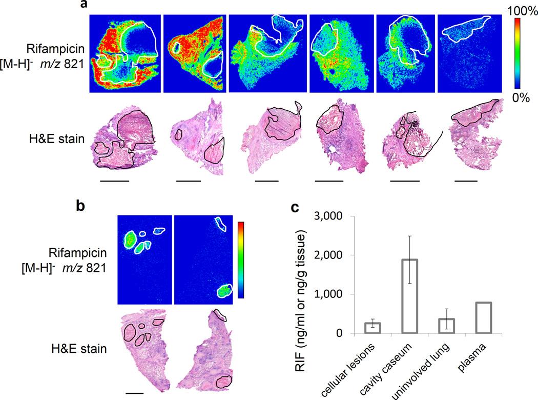 https://cdn.ncbi.nlm.nih.gov/pmc/blobs/b081/4598290/0b801c7e615c/nihms714150f3.jpg
