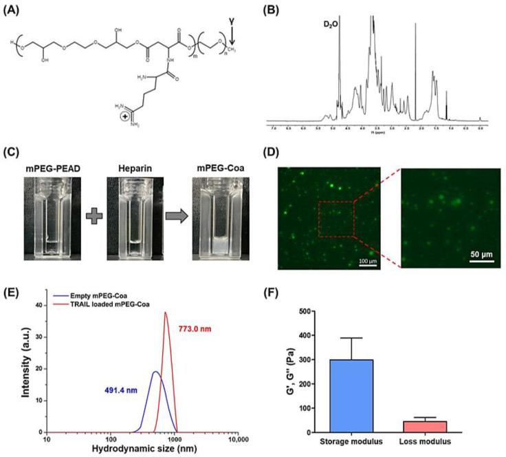 https://cdn.ncbi.nlm.nih.gov/pmc/blobs/b085/9319433/93b8838a1802/gels-08-00427-g002.jpg