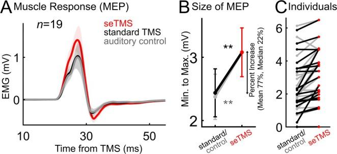 https://cdn.ncbi.nlm.nih.gov/pmc/blobs/b087/12231655/842104701466/HBM-46-e70267-g001.jpg