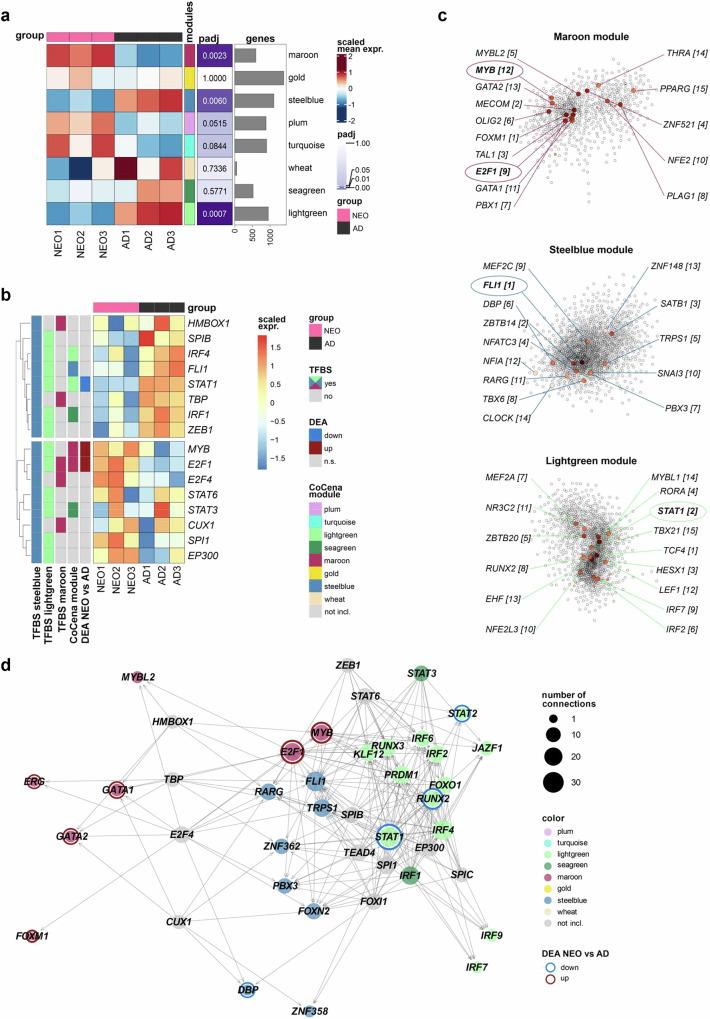https://cdn.ncbi.nlm.nih.gov/pmc/blobs/b088/11885822/23077141612f/41467_2025_57357_Fig6_HTML.jpg