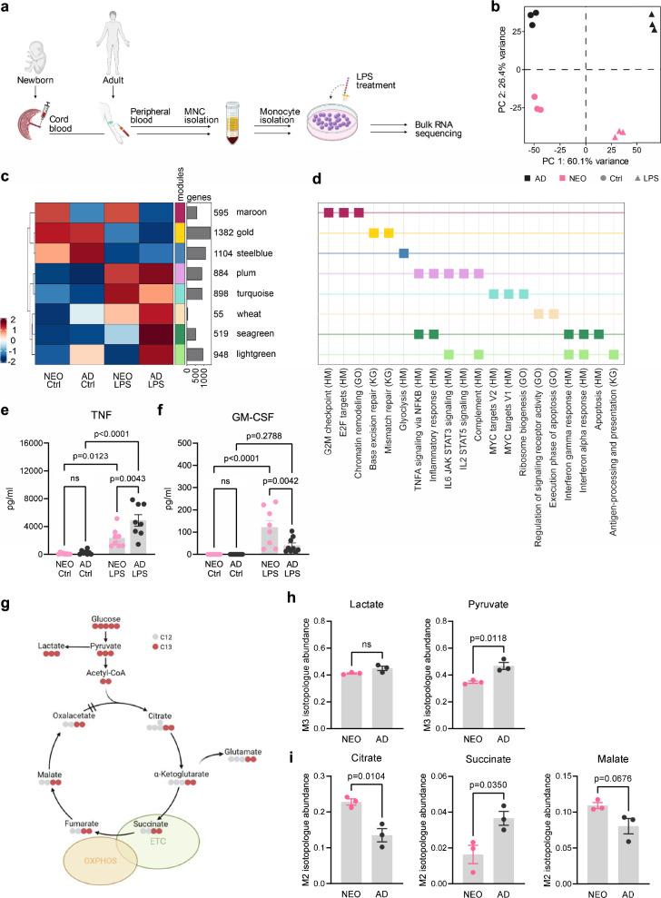 https://cdn.ncbi.nlm.nih.gov/pmc/blobs/b088/11885822/50c327eb4e39/41467_2025_57357_Fig1_HTML.jpg