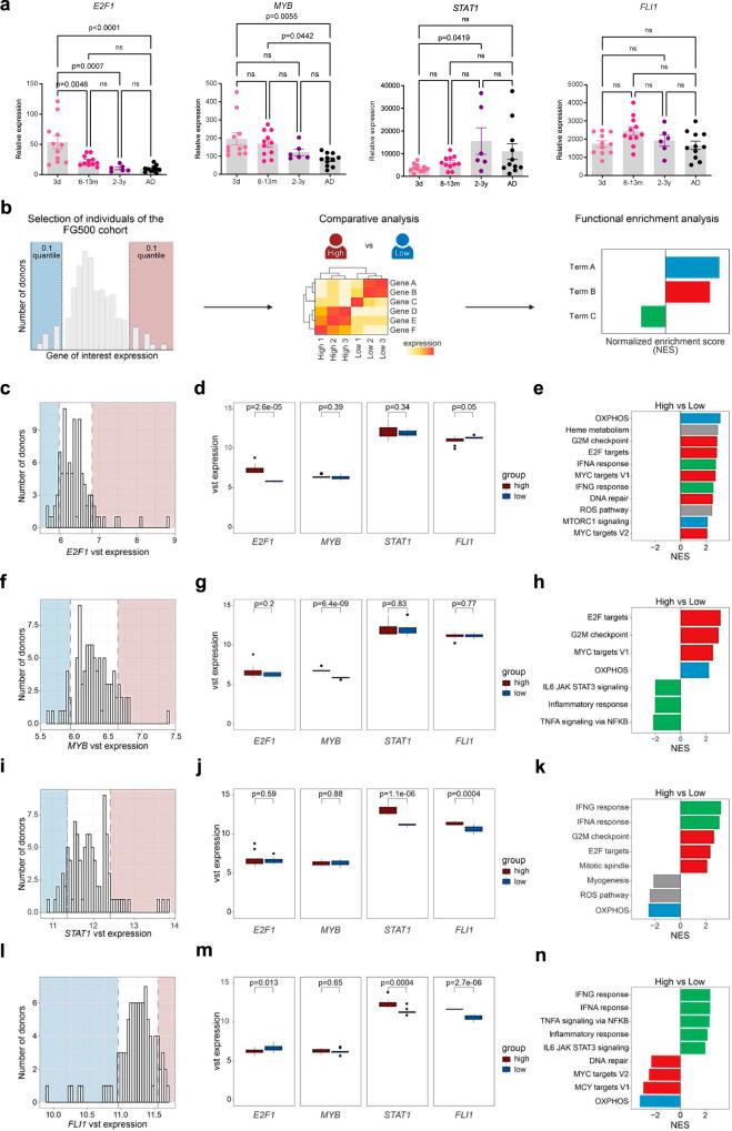 https://cdn.ncbi.nlm.nih.gov/pmc/blobs/b088/11885822/e580946be05a/41467_2025_57357_Fig7_HTML.jpg