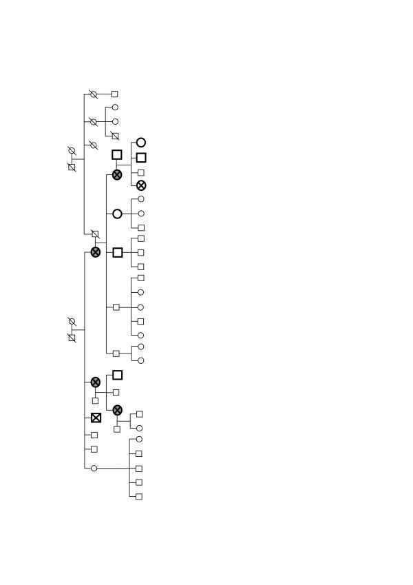 https://cdn.ncbi.nlm.nih.gov/pmc/blobs/b088/2206730/84b20822d956/bcr1759-1.jpg