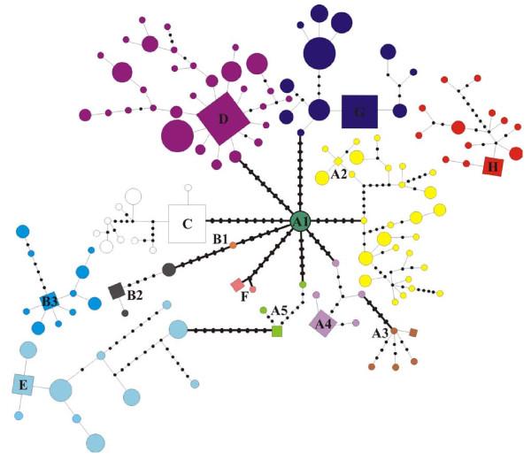 https://cdn.ncbi.nlm.nih.gov/pmc/blobs/b088/2967545/112253ef3580/1471-2148-10-307-4.jpg