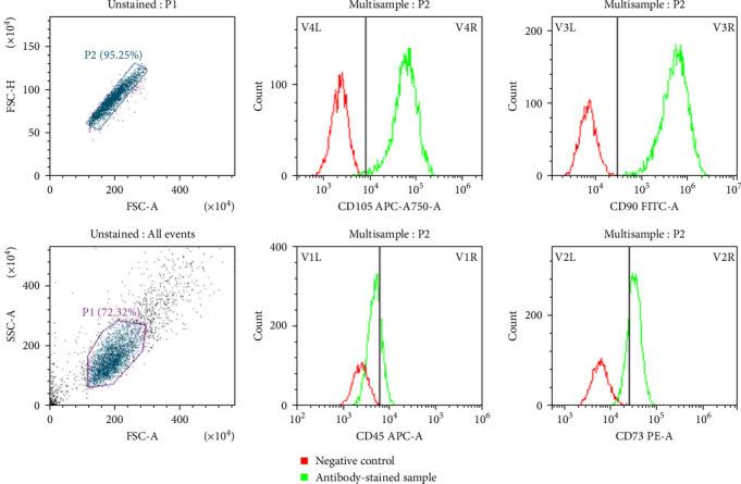 https://cdn.ncbi.nlm.nih.gov/pmc/blobs/b08a/12228572/a8c3b290a554/SCI2025-6612312.003.jpg