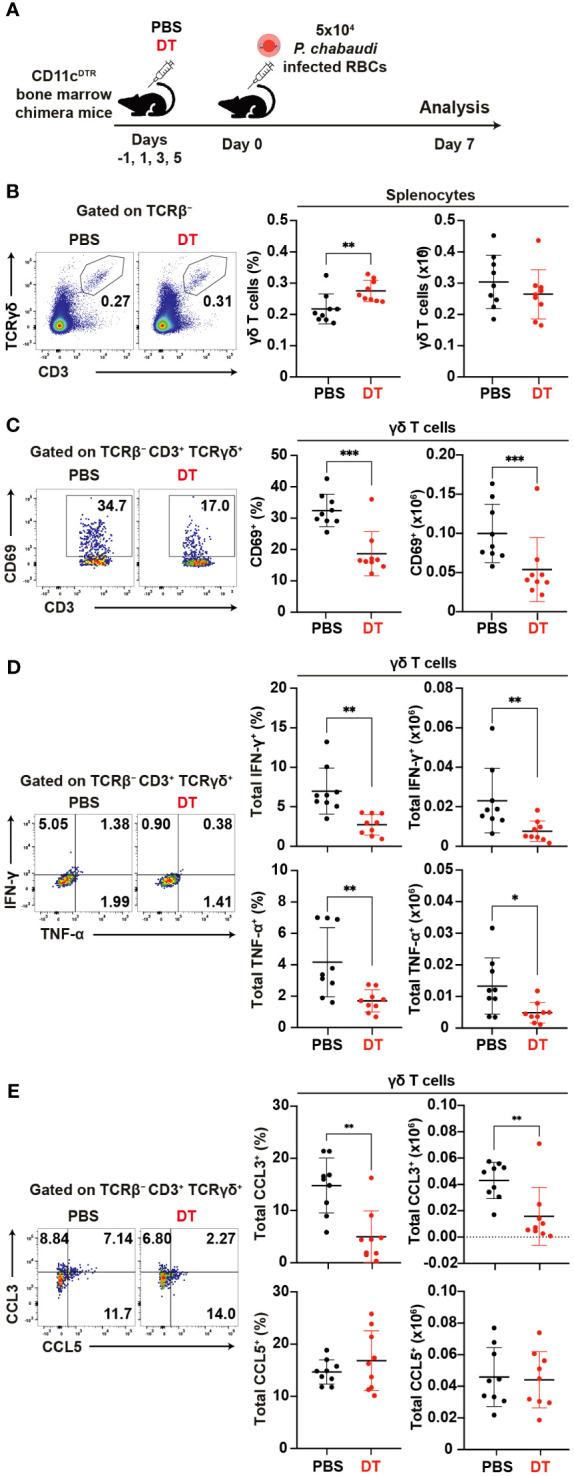 https://cdn.ncbi.nlm.nih.gov/pmc/blobs/b08c/11357926/2207bdcdd0cc/fimmu-15-1426316-g007.jpg
