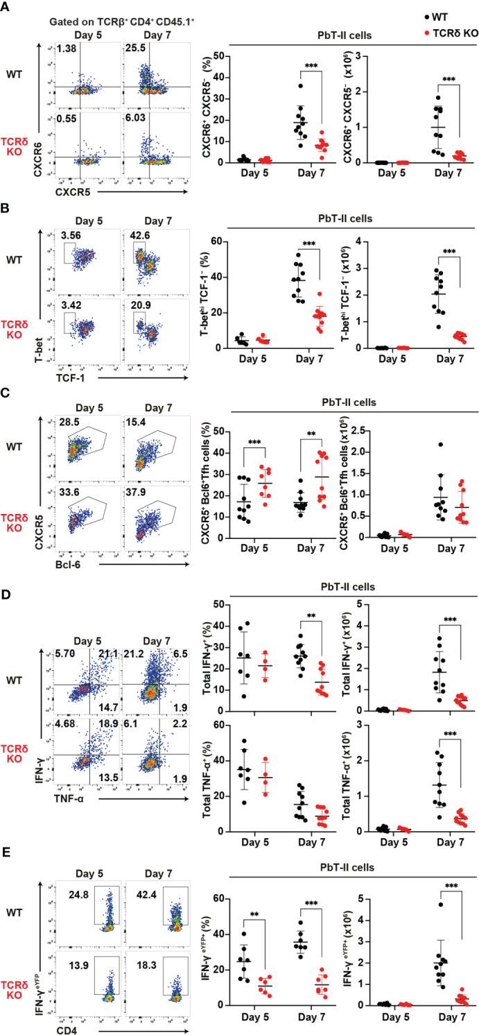 https://cdn.ncbi.nlm.nih.gov/pmc/blobs/b08c/11357926/4bdb0c3a7f99/fimmu-15-1426316-g002.jpg