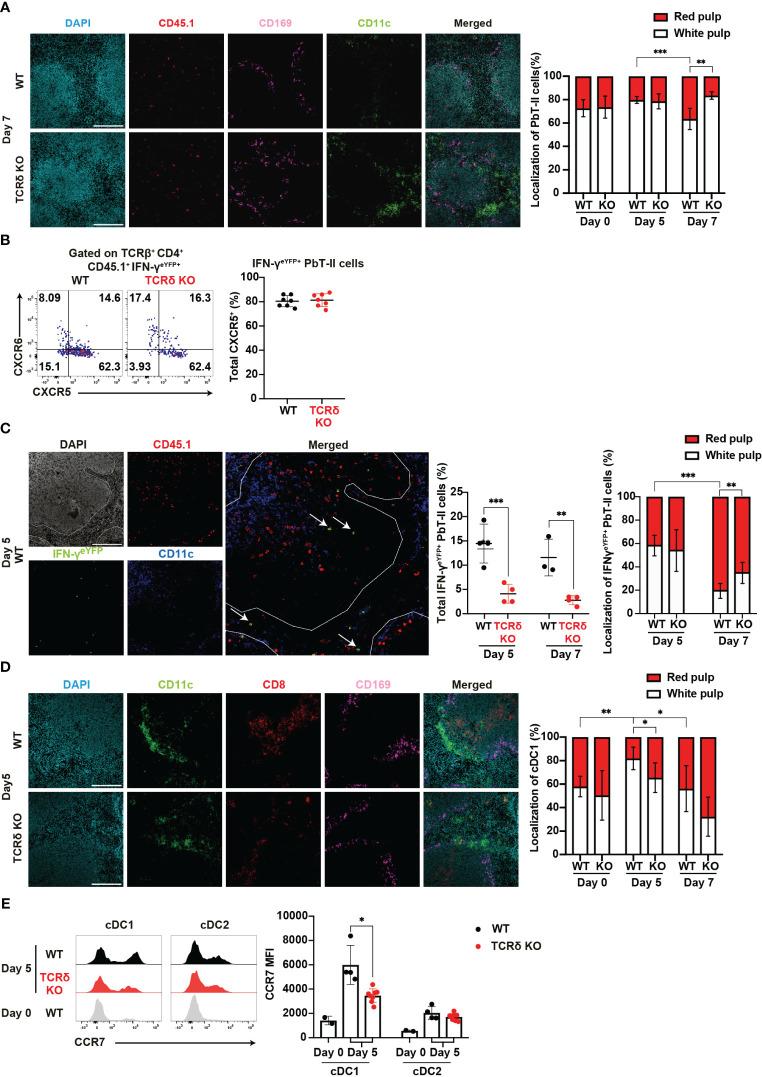 https://cdn.ncbi.nlm.nih.gov/pmc/blobs/b08c/11357926/ba172b7017a1/fimmu-15-1426316-g005.jpg