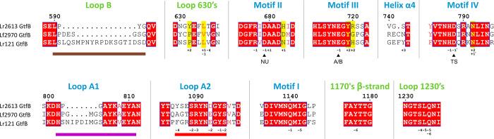 https://cdn.ncbi.nlm.nih.gov/pmc/blobs/b08c/8587608/0418d4642aa5/jf1c05657_0005.jpg