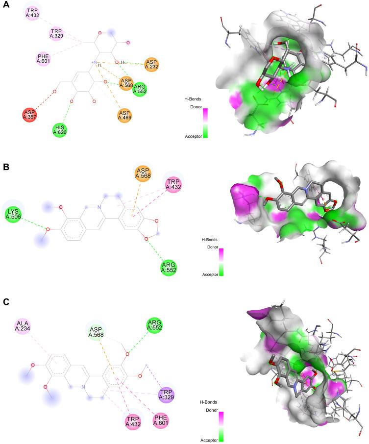 https://cdn.ncbi.nlm.nih.gov/pmc/blobs/b08d/11302523/100d0f1c4303/DDDT-18-3443-g0004.jpg