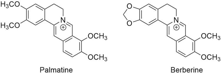https://cdn.ncbi.nlm.nih.gov/pmc/blobs/b08d/11302523/934986f40d26/DDDT-18-3443-g0001.jpg
