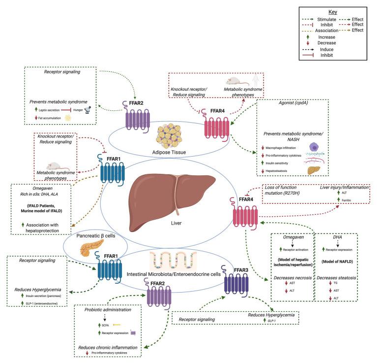 https://cdn.ncbi.nlm.nih.gov/pmc/blobs/b08d/8058363/0557ce63fe33/fphys-12-656441-g002.jpg