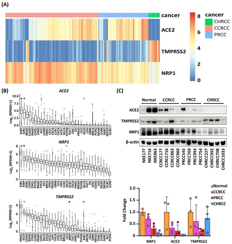 https://cdn.ncbi.nlm.nih.gov/pmc/blobs/b08e/9810192/5ccd16918f11/pone.0279578.g001.jpg