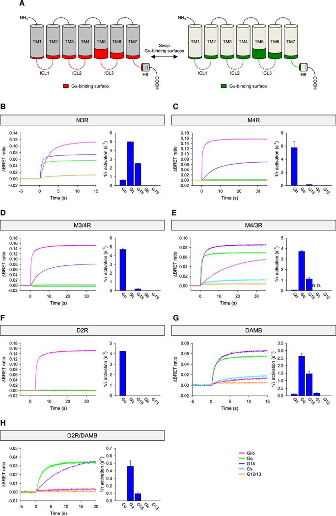 https://cdn.ncbi.nlm.nih.gov/pmc/blobs/b090/10842385/fd26ebdf6858/nihms-1941869-f0005.jpg