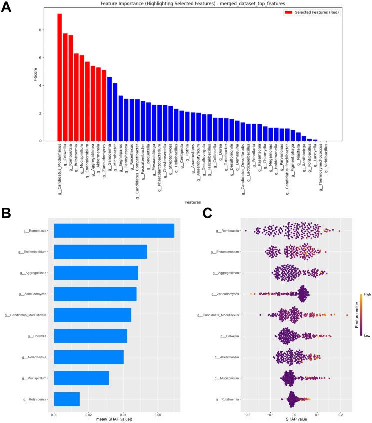 https://cdn.ncbi.nlm.nih.gov/pmc/blobs/b090/11959079/825e0df57cfc/fimmu-16-1539653-g007.jpg